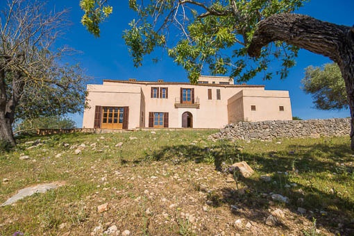 finca in San Lorenzo for sale