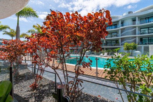 Terrace2