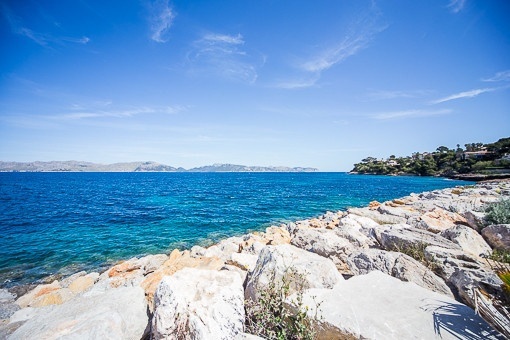 Views of the harbour