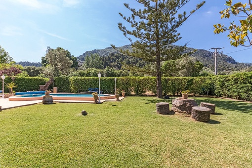 Well-tended garden