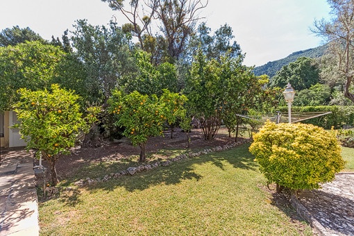 Mediterran garden