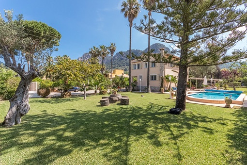 Mallorquin garden