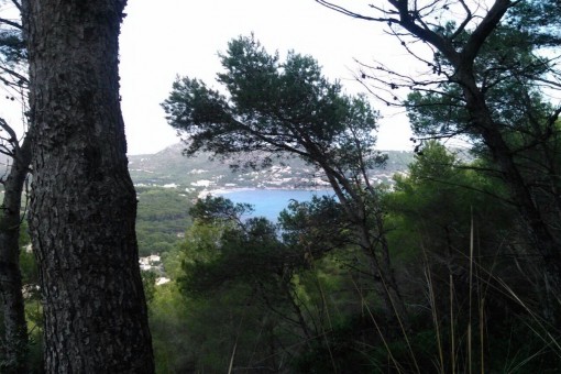 plot in Canyamel