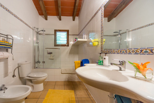 Bathroom with shower and daylight