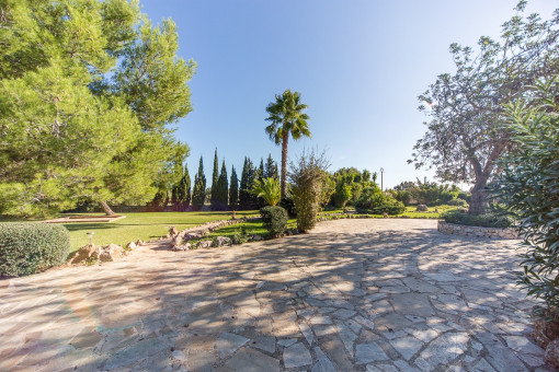 Spacious garden
