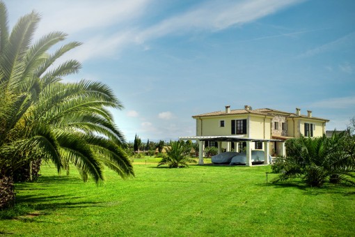 Green garden with various palm trees