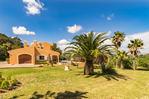 Well-kept garden with palm trees