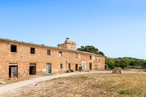 plot in San Lorenzo