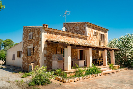 Views from the terrace to the finca