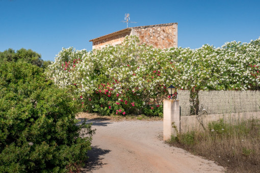 Access to the finca