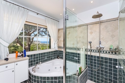 One of 2 bathrooms