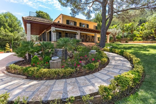 Beautifully laid-out garden