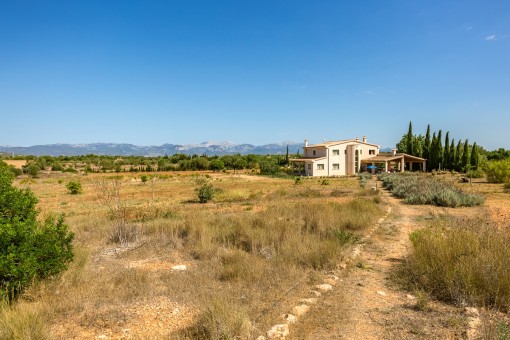 Views over the plot in Algaida