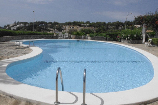 Pool with a view