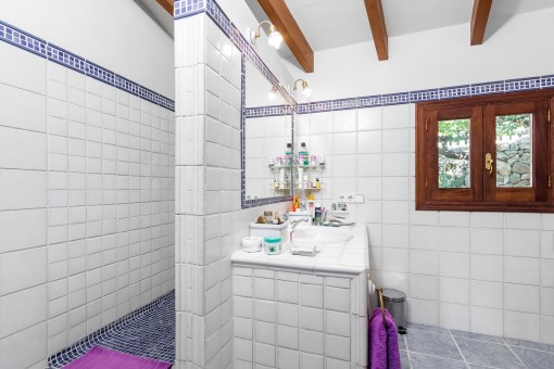 Master bathroom with shower and natural light