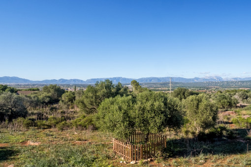 Idyllic views of the Tramuntana mountains