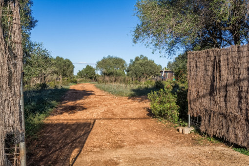 Entrance to the plot