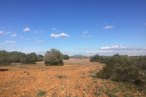 Quietly-situated building plot near to Cala Pi