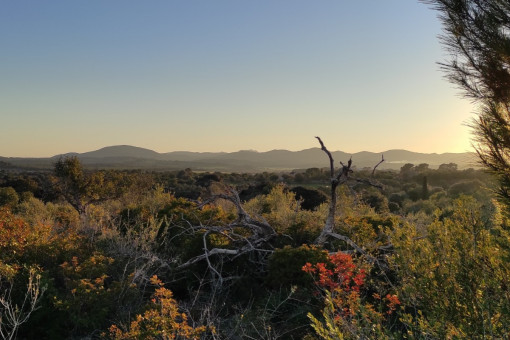 Building plot in a lovely finca area in San Llorenc