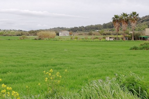 Views over the lovely plot