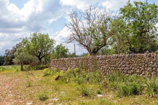 Stone wall elements on the plot