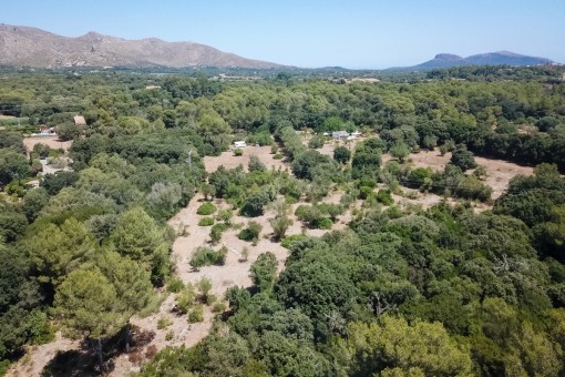 plot in Capdepera
