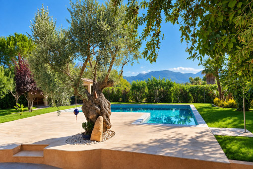 Idyllic pool area
