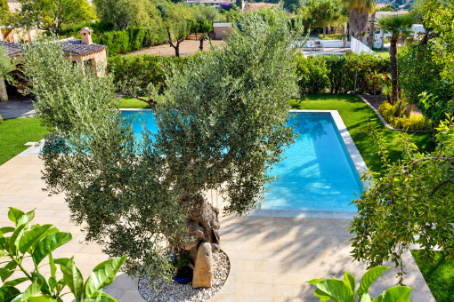 Pool area