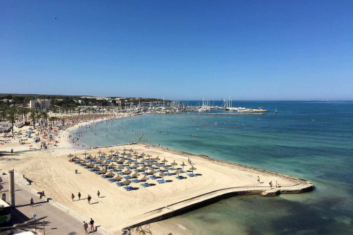Fantastic sea and beach views