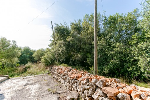 View of the plot