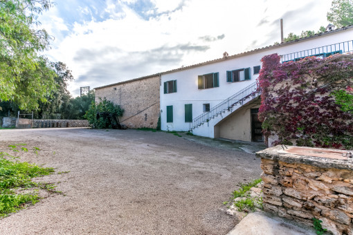 Large outdoor area of the finca