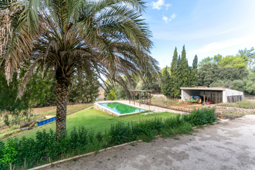 Pool area with small shed