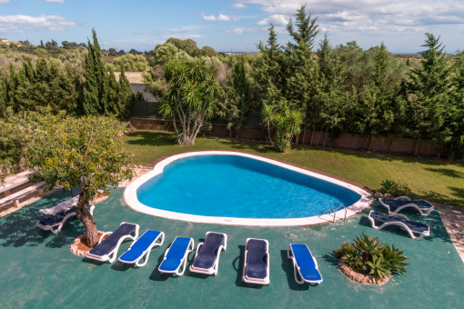 Views to the pool and garden