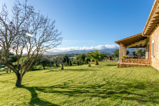 Outdoor area of the finca