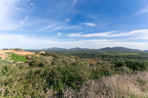 Exceptional building plot with the mountains of Arta and the Albufera natural park as a backdrop