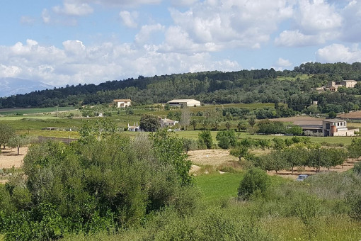 plot in Porreres for sale