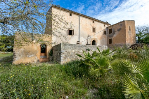 finca in Arta