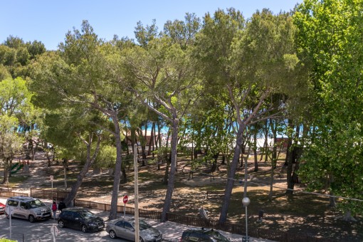 Sea views from the balcony