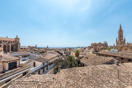 Palma De Mallorca Old Town Property For Sale In Palma De Mallorca