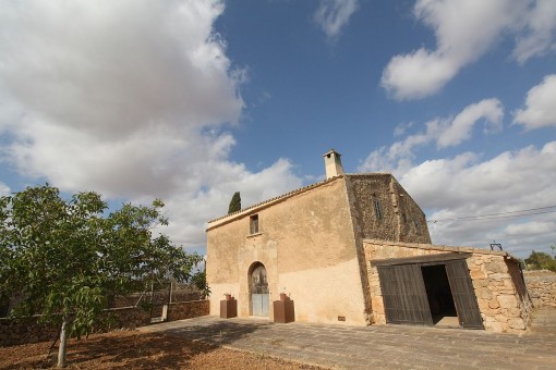 plot in Llucmajor