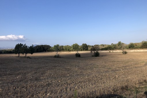 plot in Muro for sale