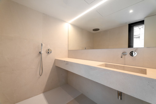 One of 2 bathrooms