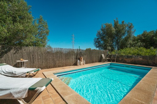 Alternative view of the pool area 