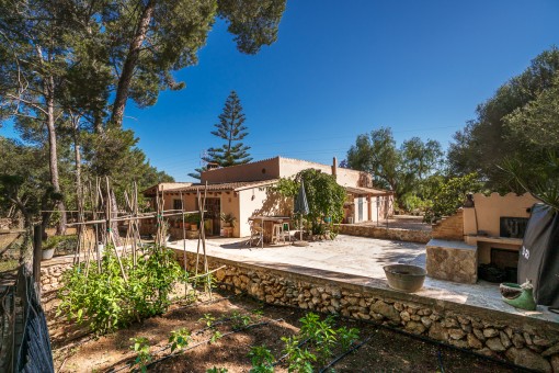 Vegetable garden and bbq