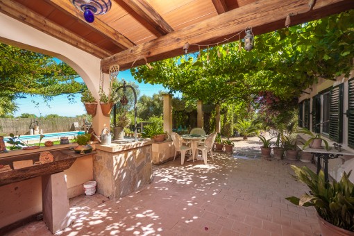 View to the garden area