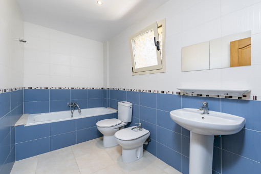 One of 2 batrooms