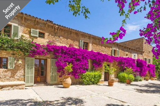 finca in Arta