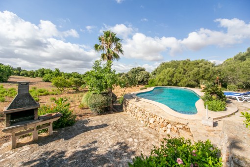 Finca with pool between Felanitx and Es Carritxo - rent