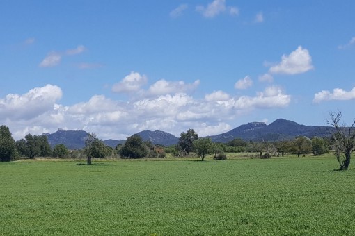 plot in Cas Concos