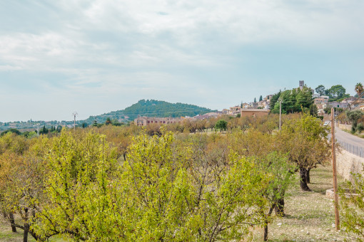 View of the surroundings